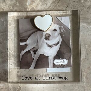 Mud Pie Clear Acrylic Dog Frame with Gold Heart Magnet